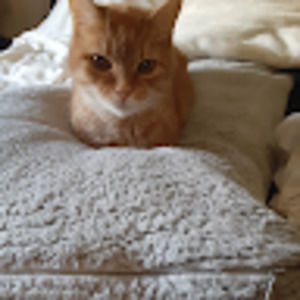 Meet your Posher, Jesse